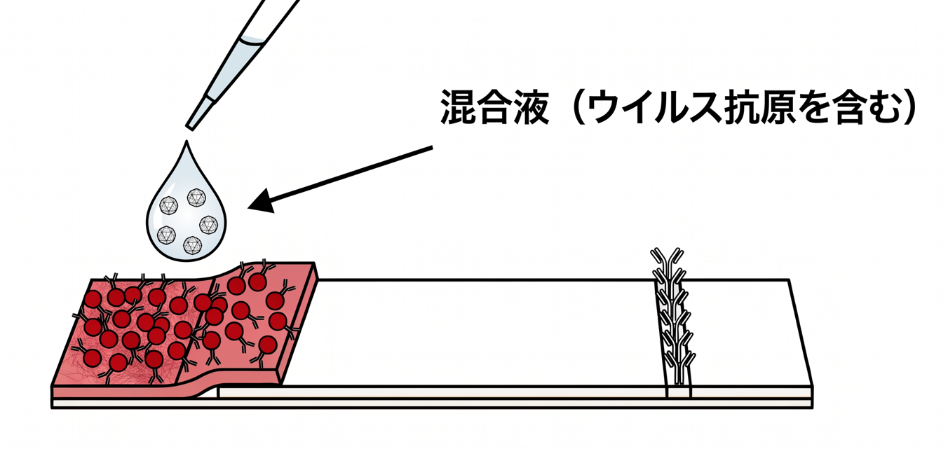 滴下