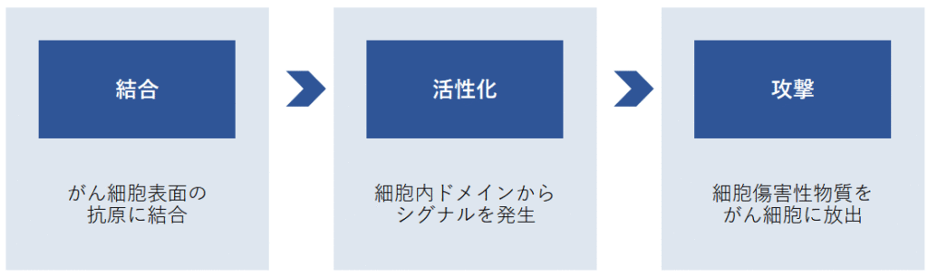 メカニズム